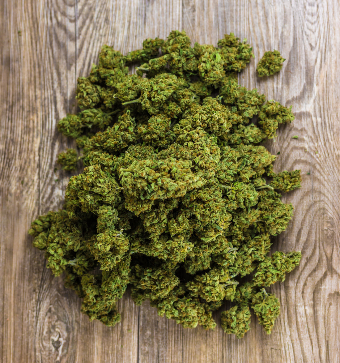 Sativa, índica e híbrida: qué significan de verdad